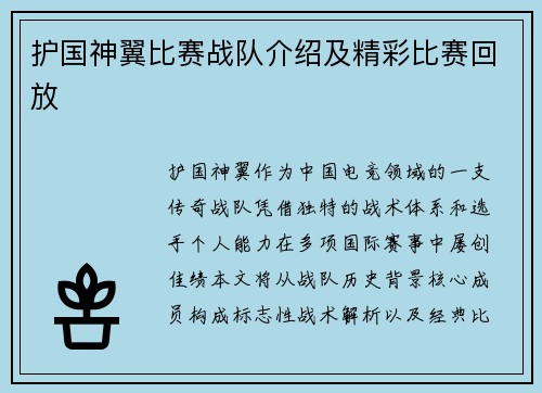 护国神翼比赛战队介绍及精彩比赛回放